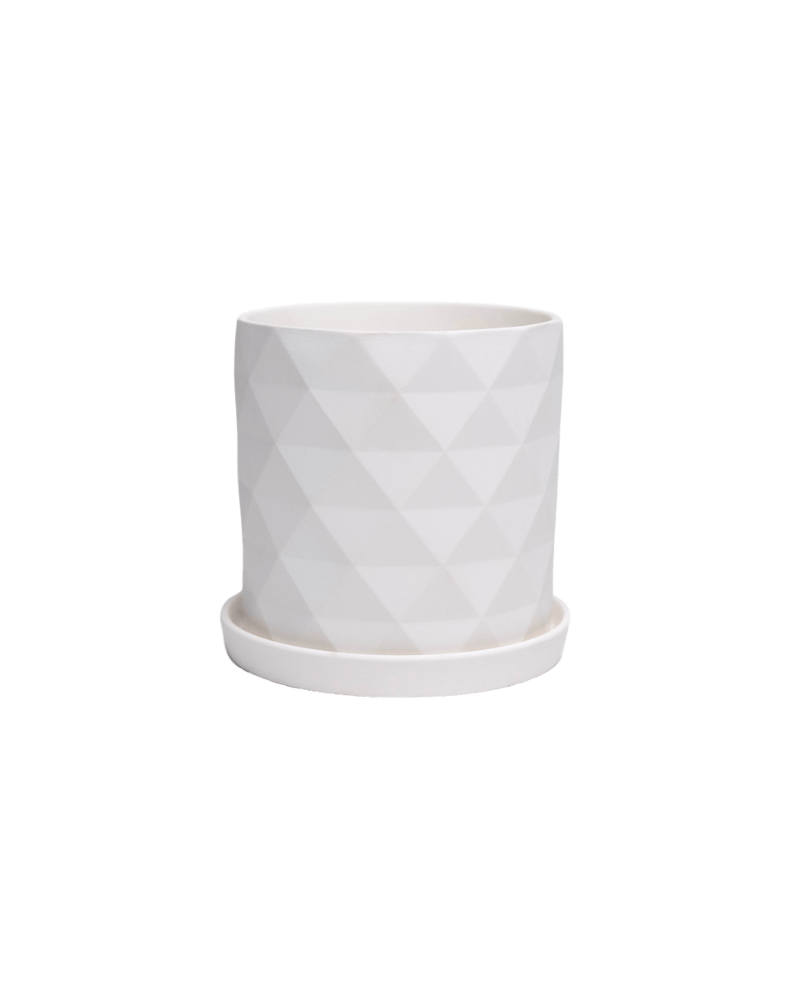 Virago 5" Porcelain Pot With Drainage Hole And Saucer - Chive UK
