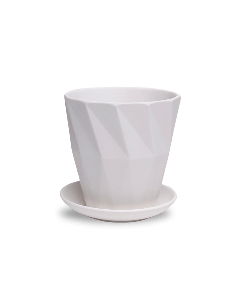 Virago 5" Porcelain Pot With Drainage Hole And Saucer - Chive UK