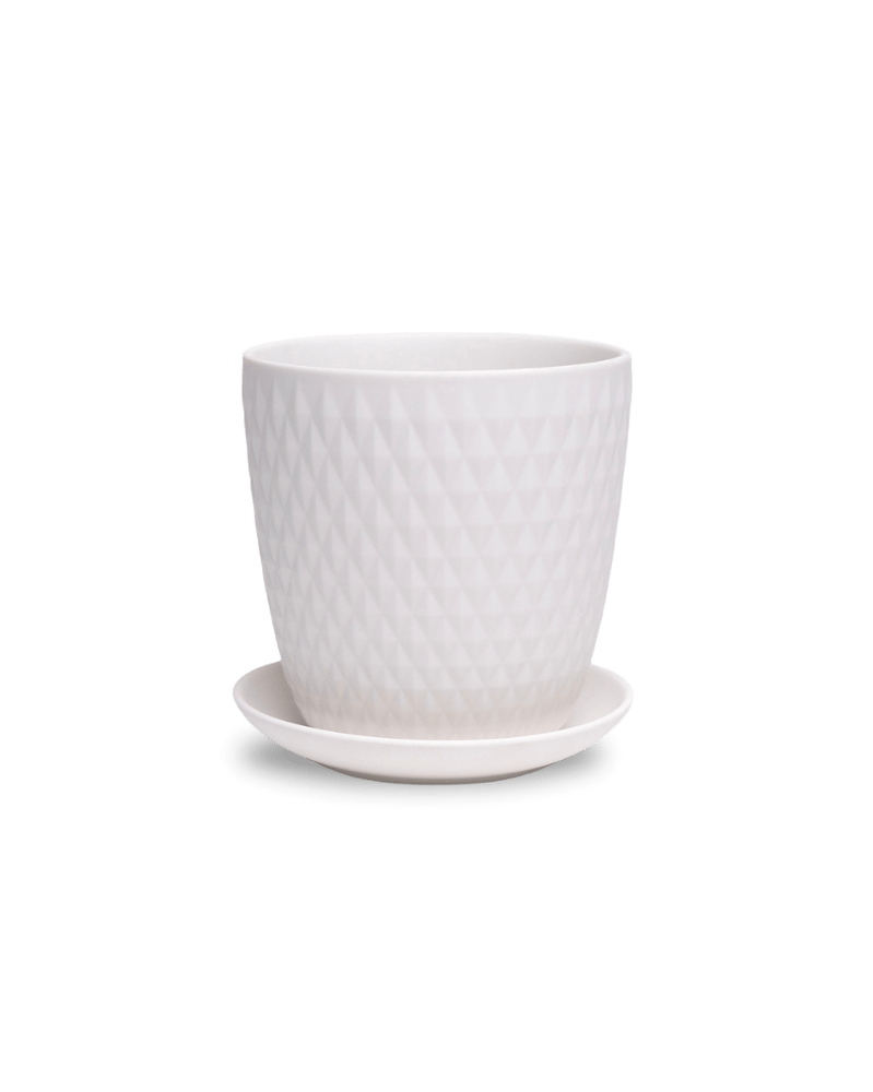 Virago 5" Porcelain Pot With Drainage Hole And Saucer - Chive UK