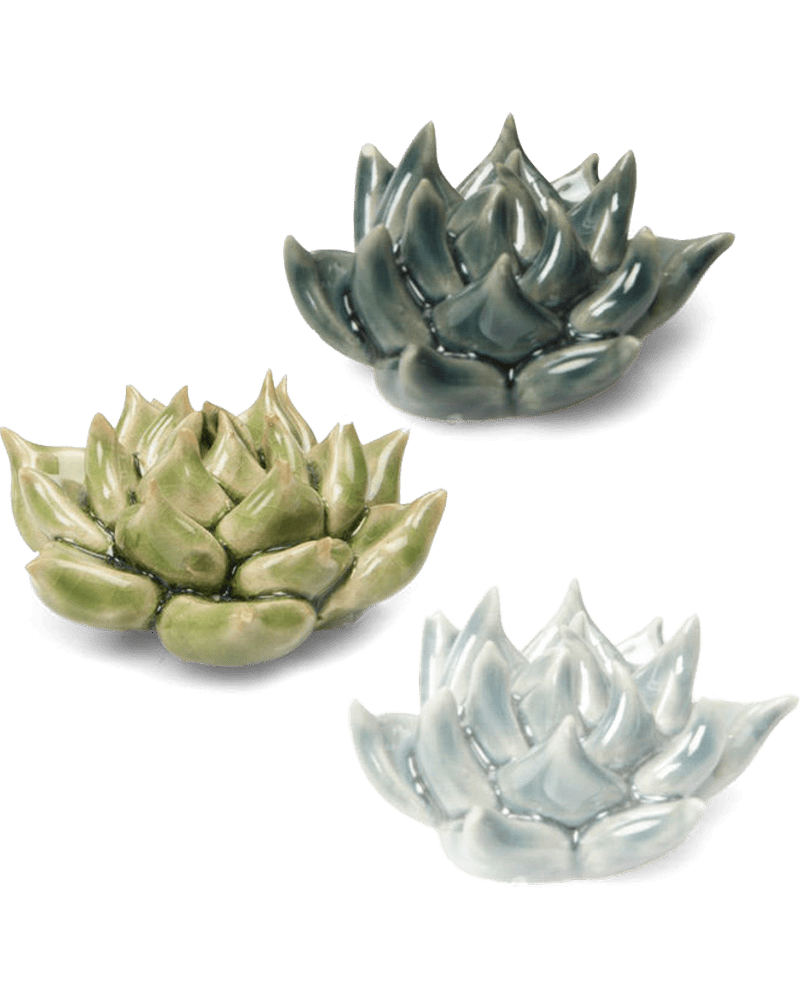 Ceramic Flower Tabletop Art Set of 3 Succulents - Chive UK