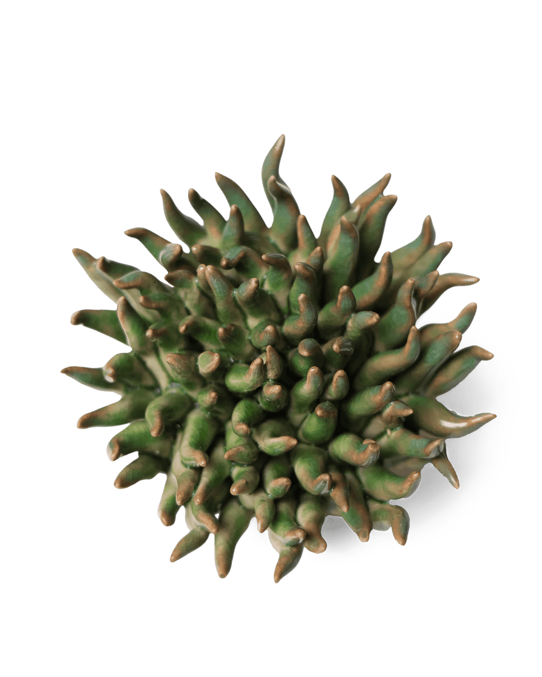 Ceramic Flower Mondo Green 4 - Chive UK
