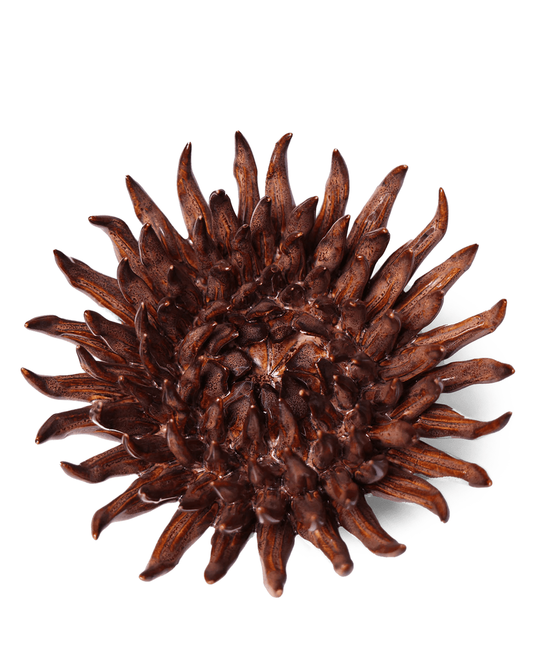 Ceramic Flower Mum Chocolate 5 - Chive UK