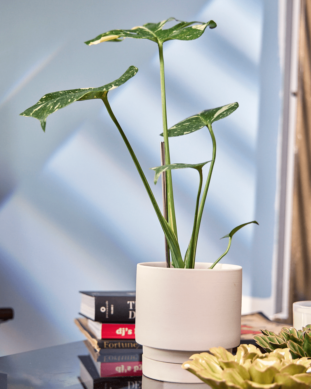 Casey Porcelain Modern Pot And Saucer Set - Chive UK