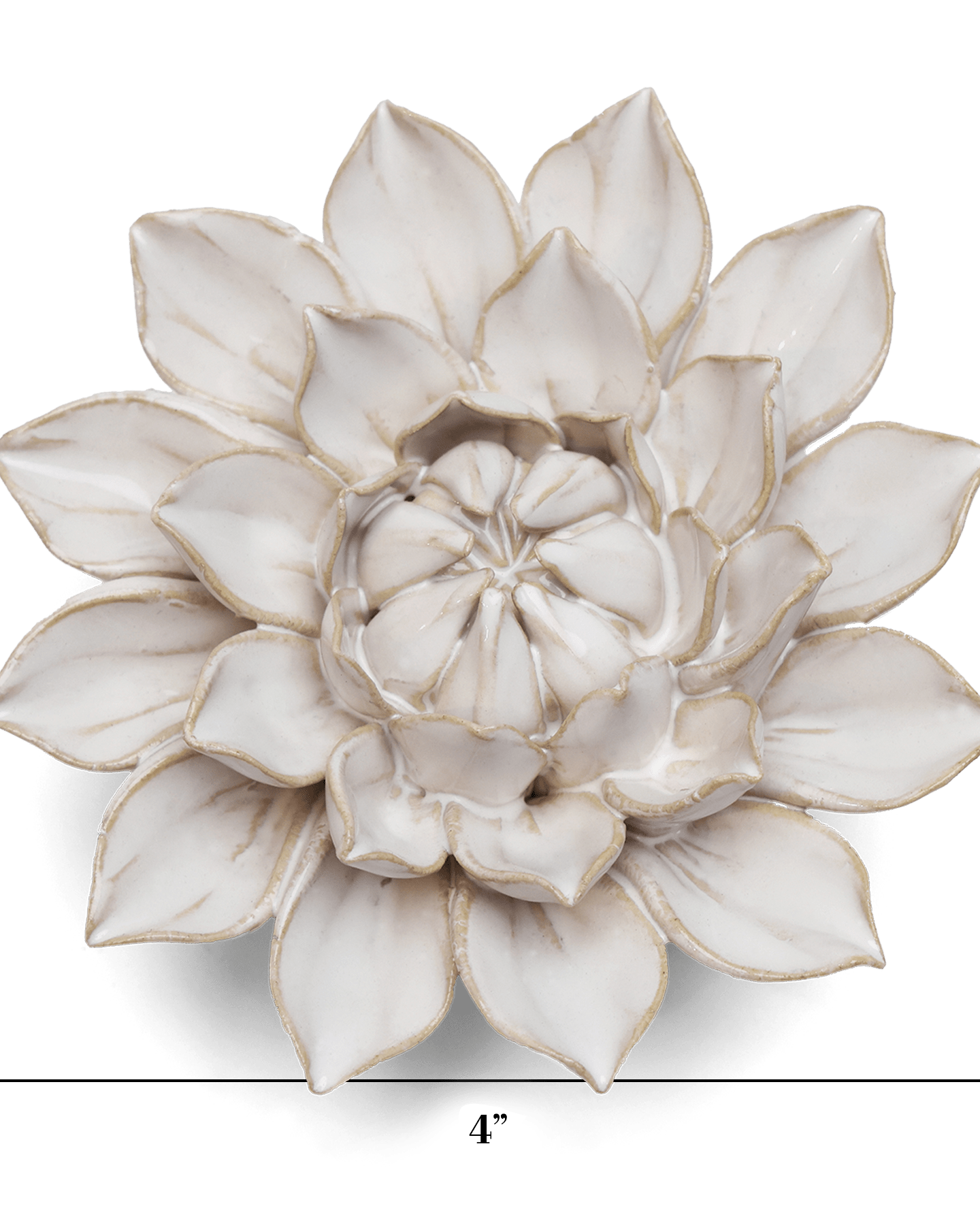 Coastal Ceramic Flower Ivory Dahlia - Chive UK