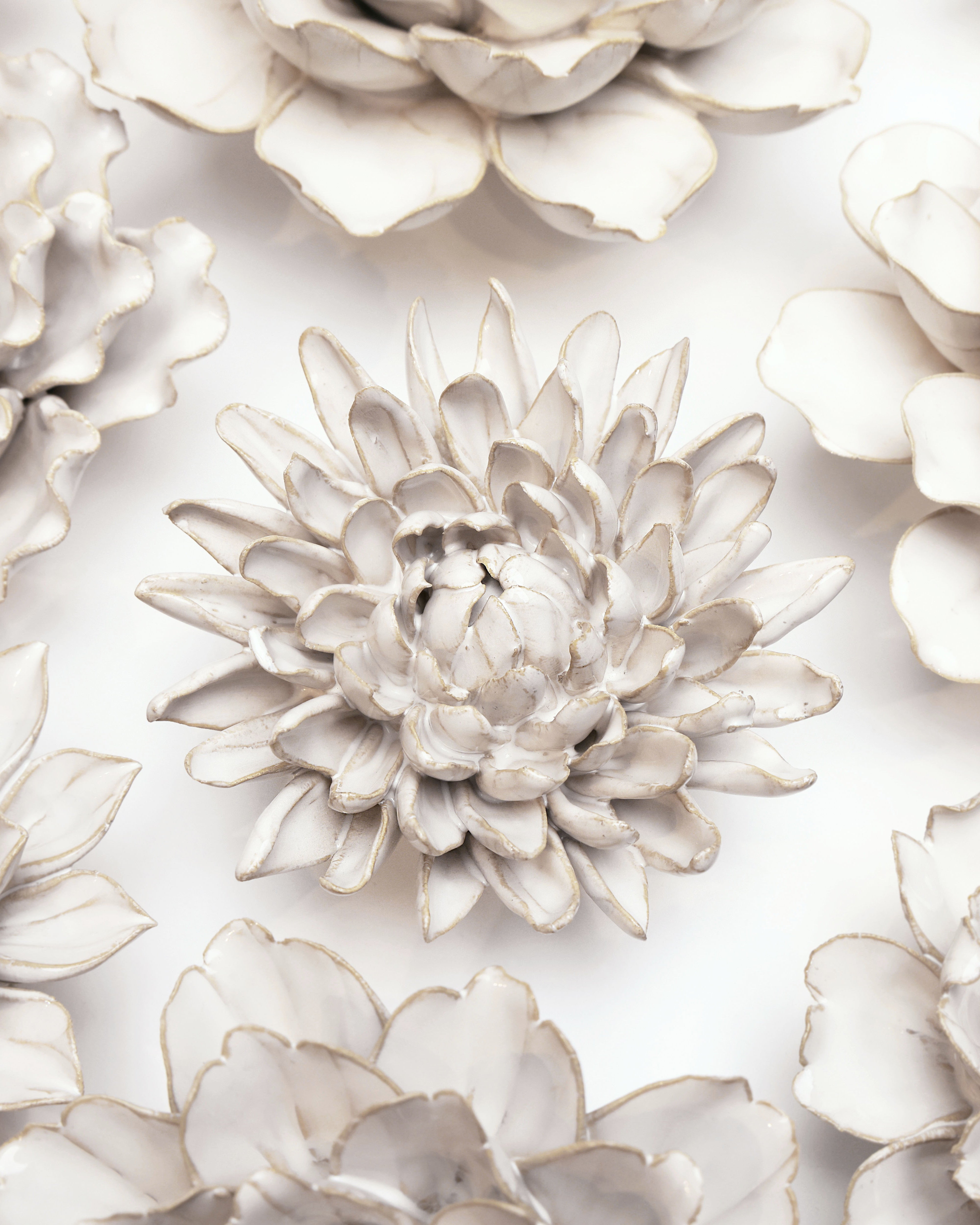 Coastal Ceramic Flower Ivory Chrysanthemum - Chive UK