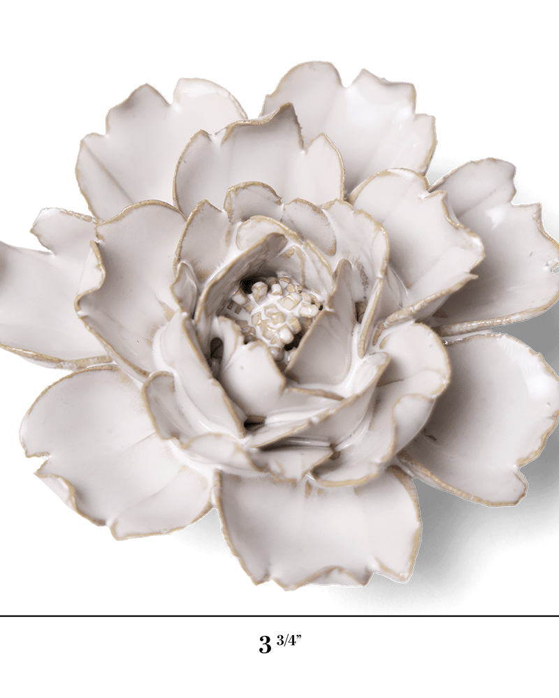 Coastal Ceramic Flower Ivory Rose - Chive UK
