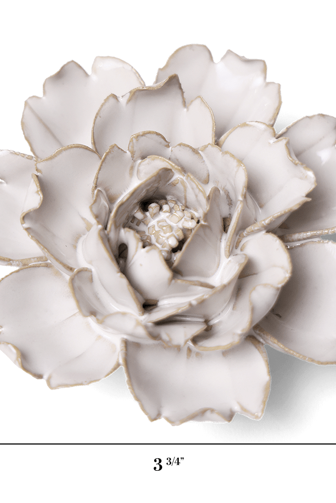 Coastal Ceramic Flower Ivory Rose - Chive UK