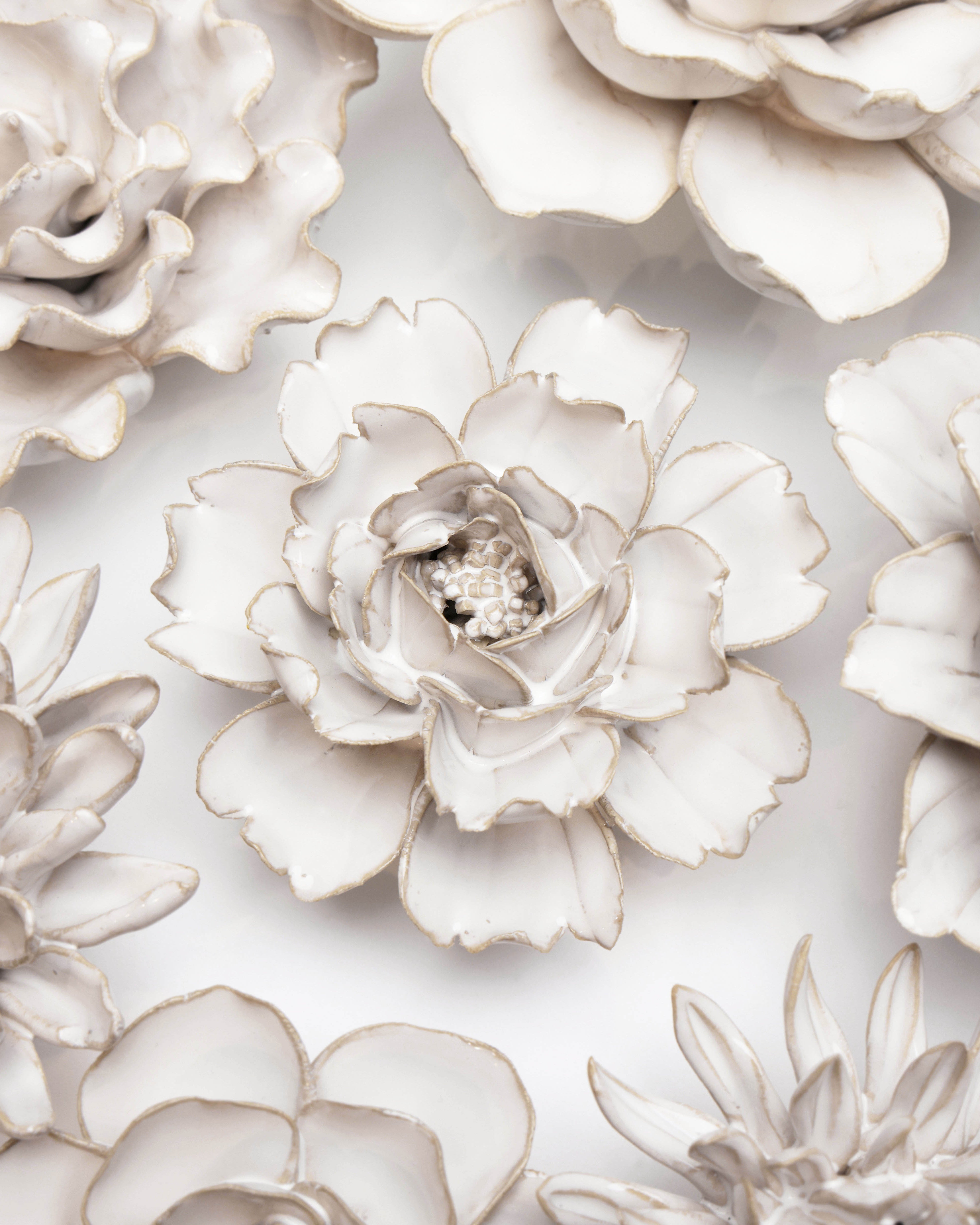 Coastal Ceramic Flower Ivory Rose - Chive UK