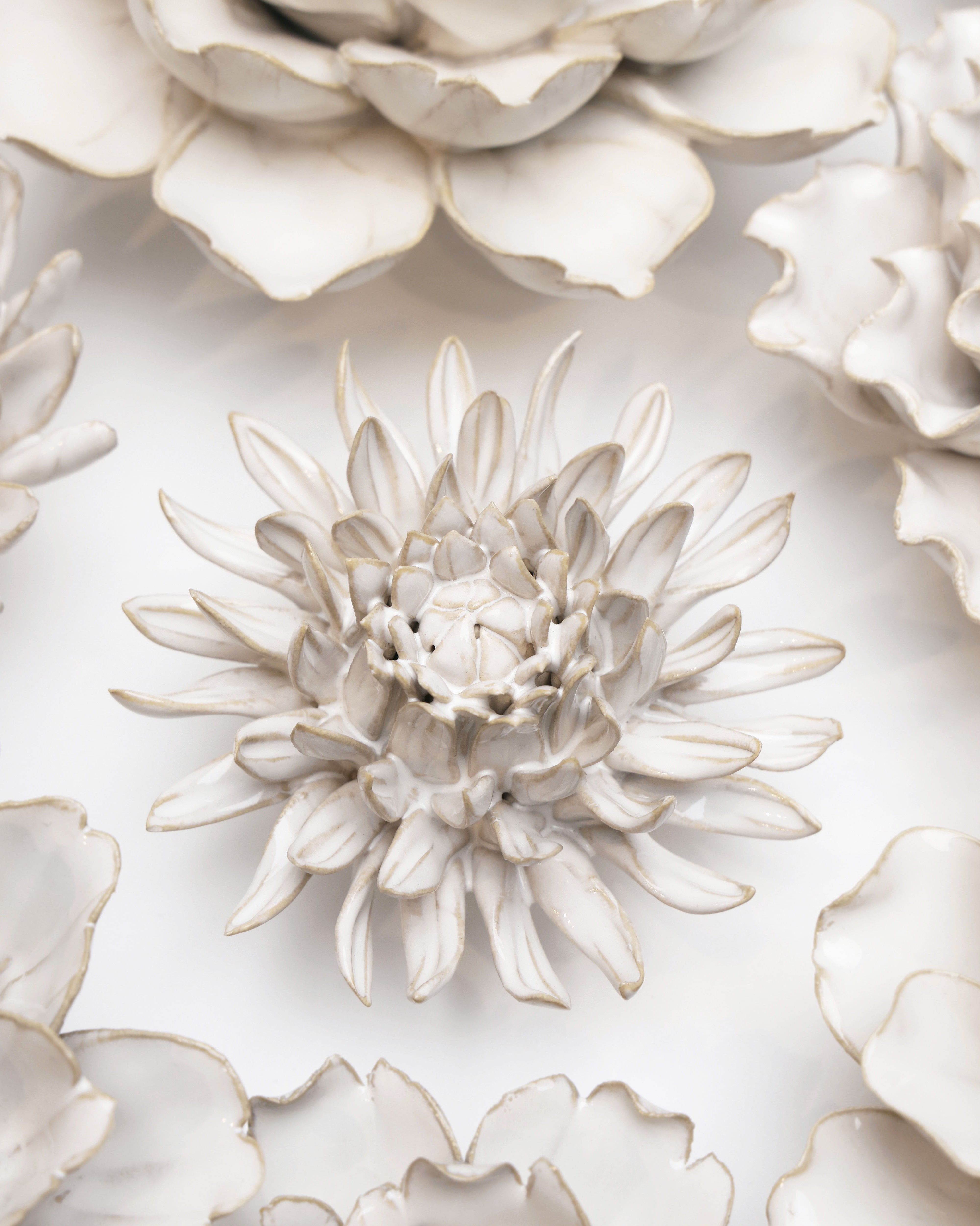 Coastal Ceramic Flower Ivory Spider Mum - Chive UK