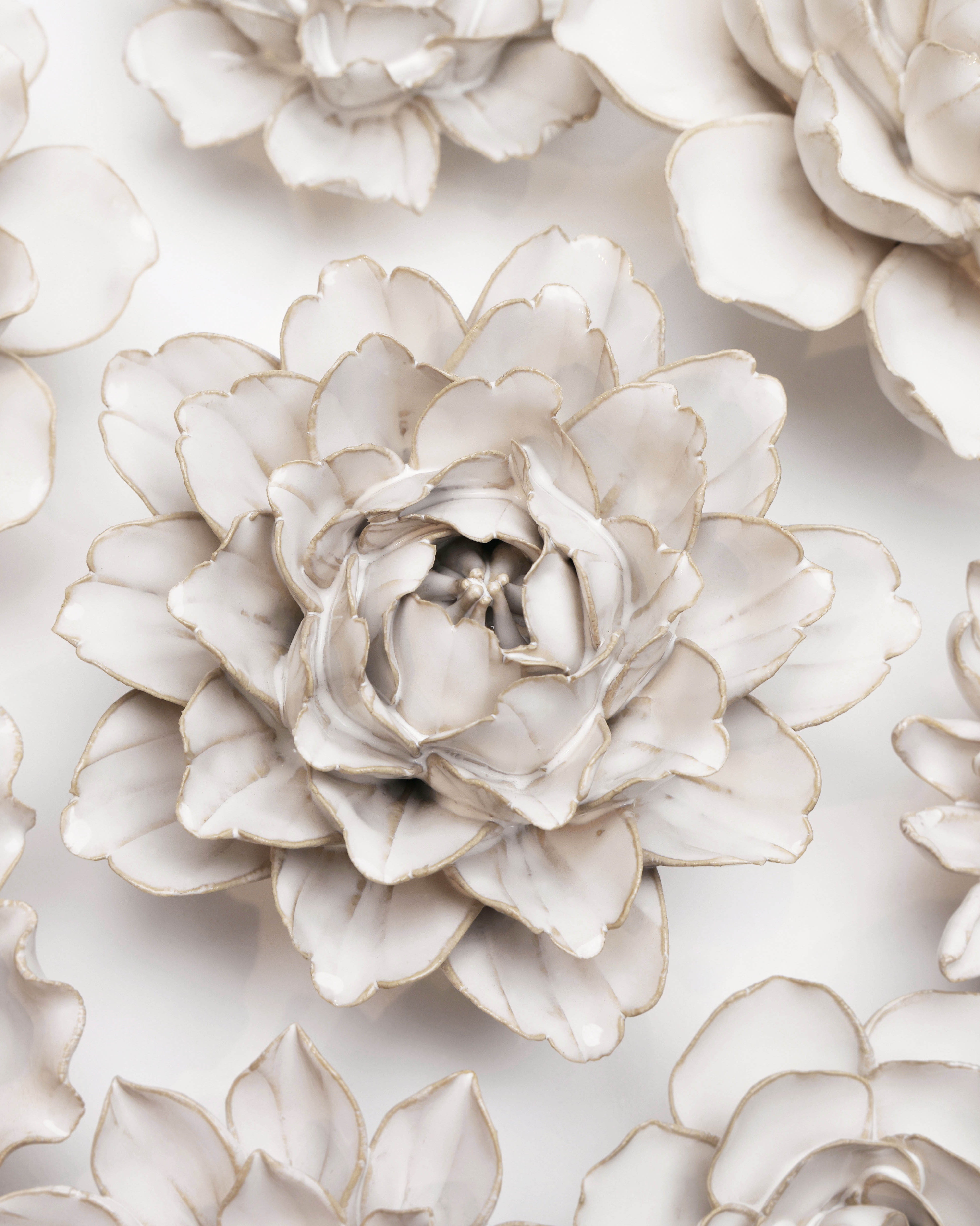 Coastal Ceramic Flower Ivory Zinnia - Chive UK