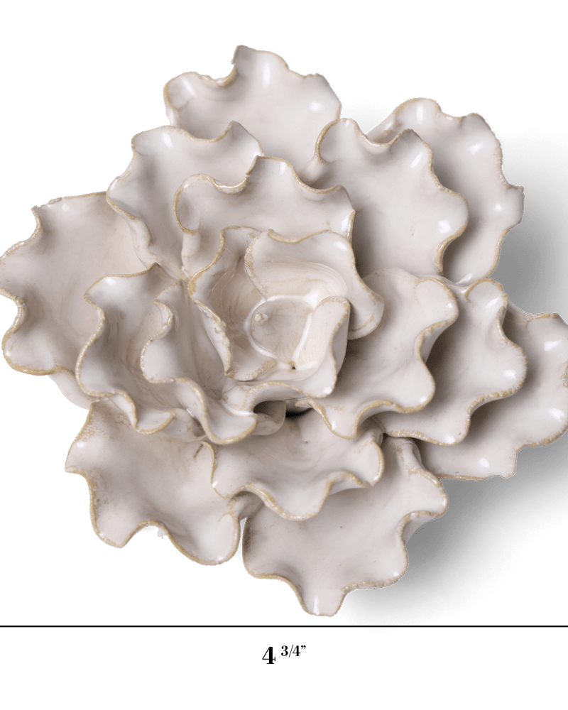 Coastal Ceramic Flower Ivory Sea Lettuce Medium - Chive UK