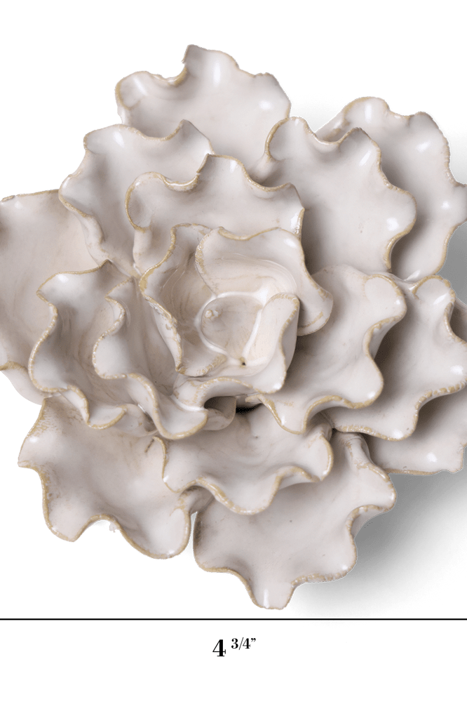 Coastal Ceramic Flower Ivory Sea Lettuce Medium - Chive UK