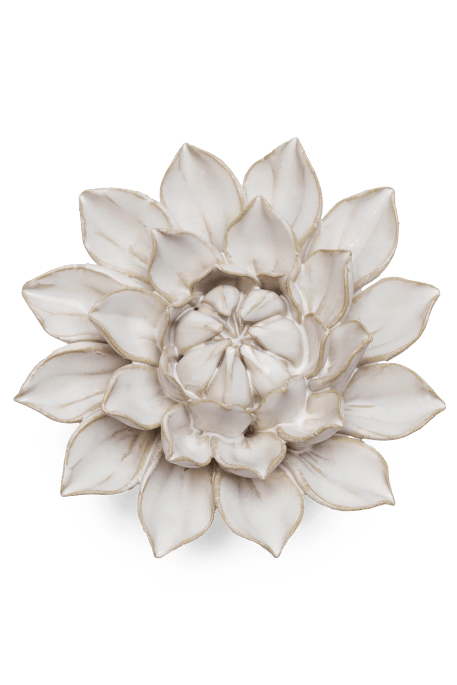 Coastal Ceramic Flower Ivory Dahlia - Chive UK