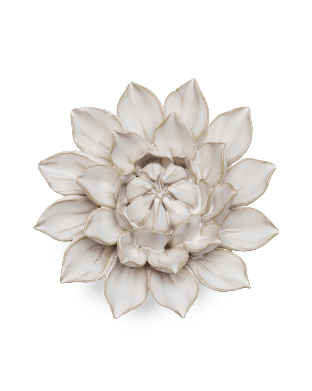 Coastal Ceramic Flower Ivory Dahlia - Chive UK