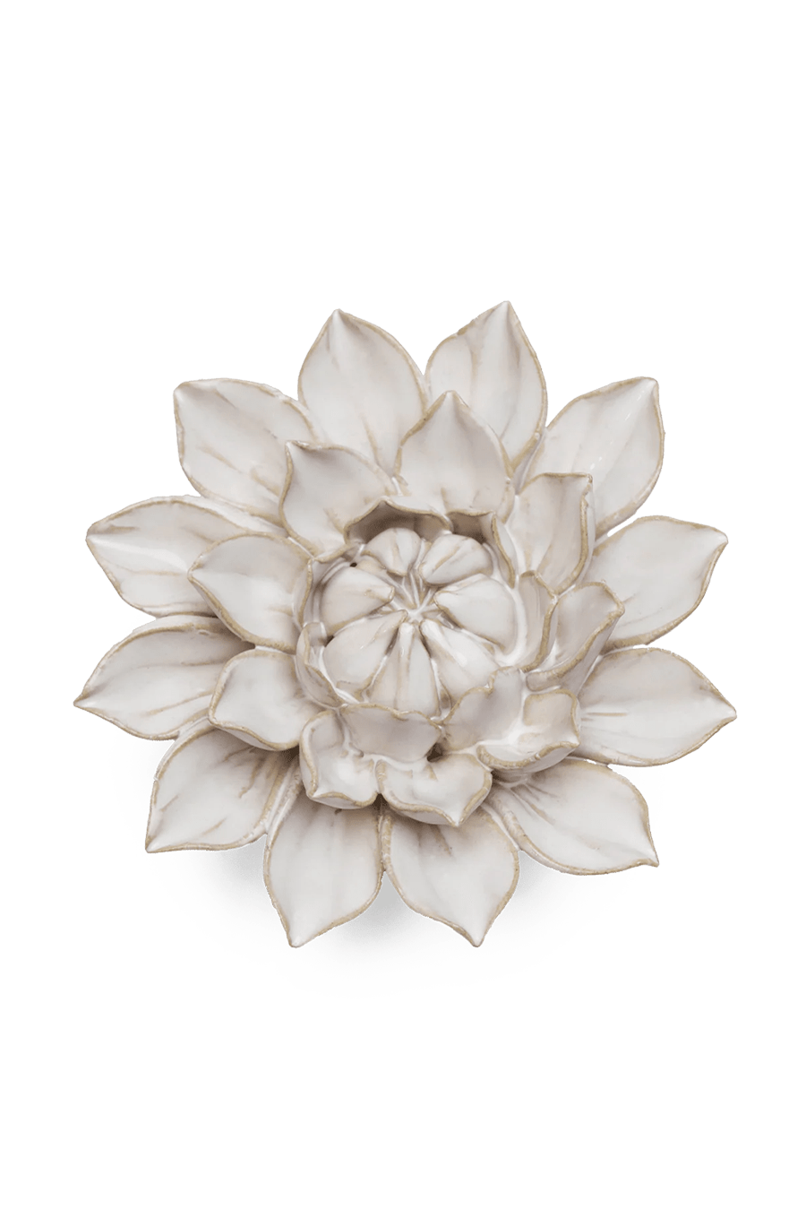 Ivory Monch Aster - Chive UK