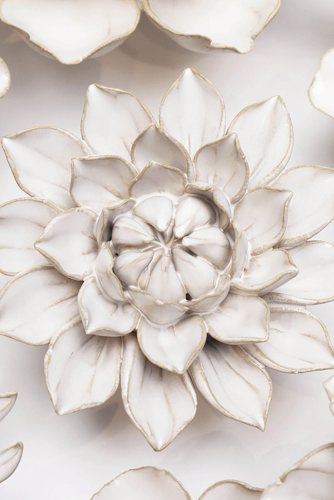 Ivory Dahlia - Chive UK