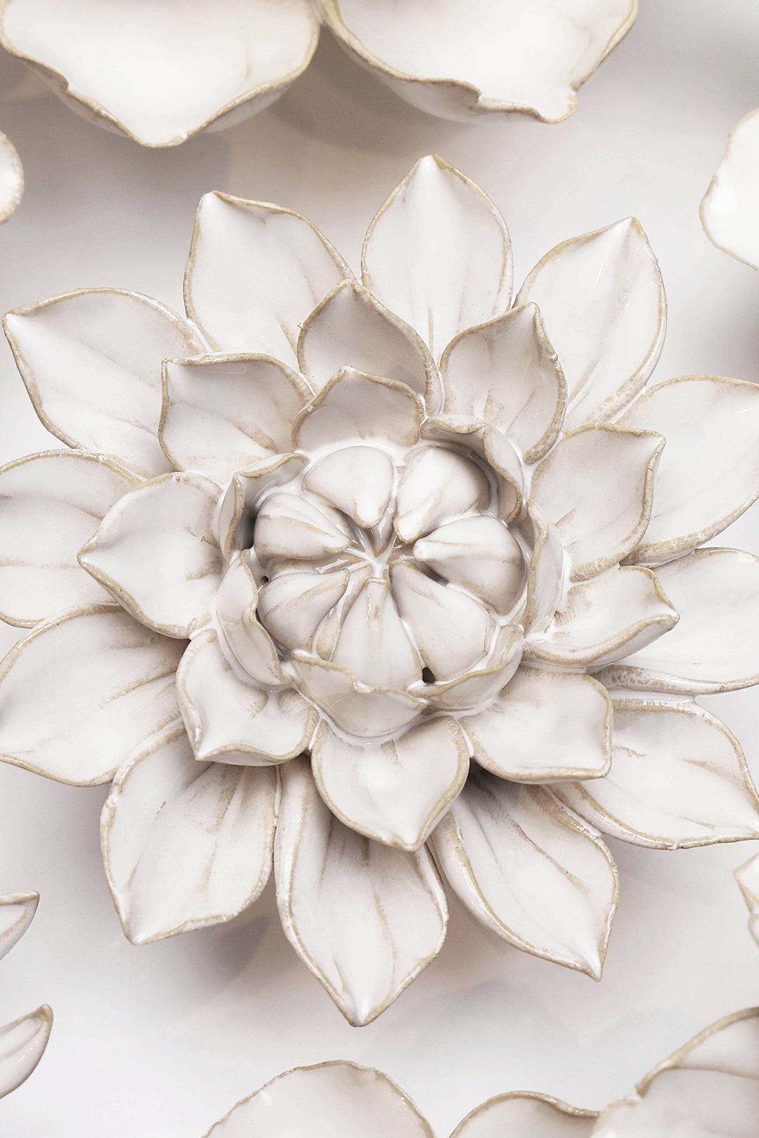 Ivory Dahlia - Chive UK