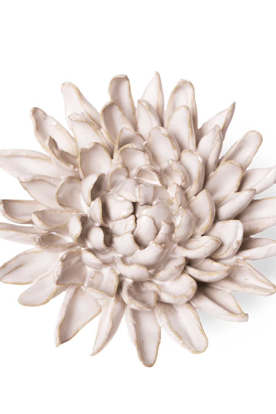Coastal Ceramic Flower Ivory Chrysanthemum - Chive UK