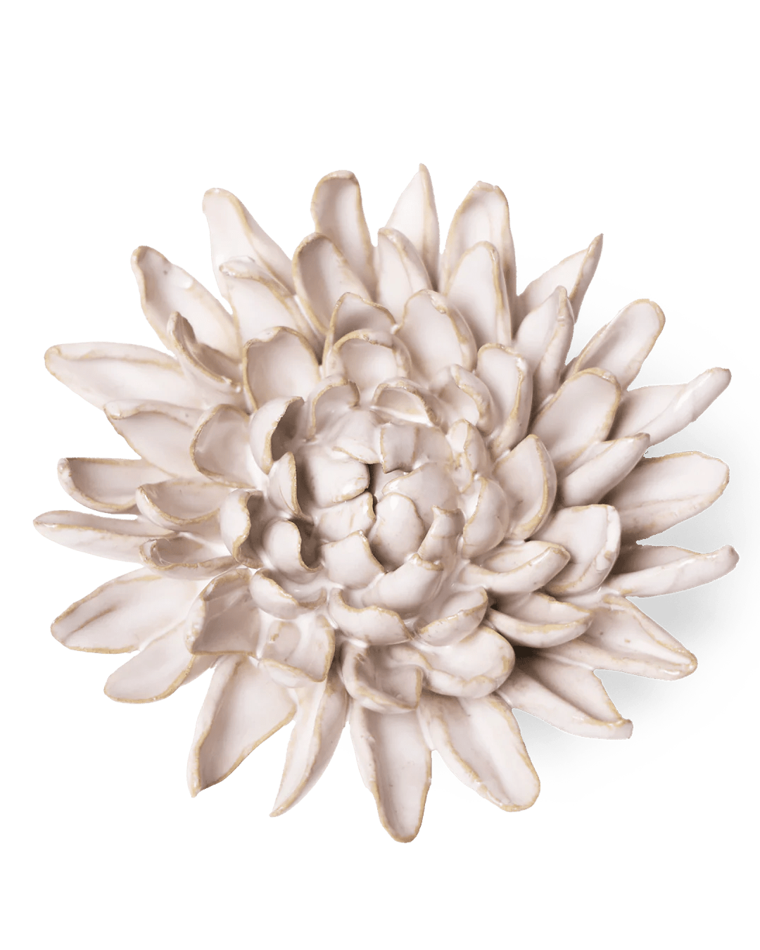 Coastal Ceramic Flower Ivory Chrysanthemum - Chive UK