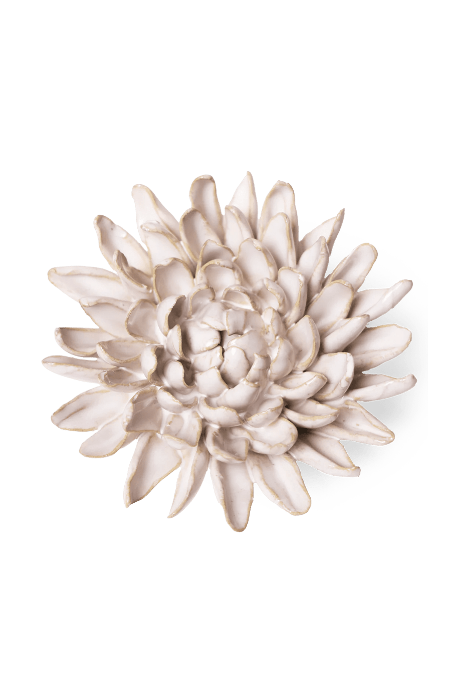 Ivory Chrysanthemum - Chive UK