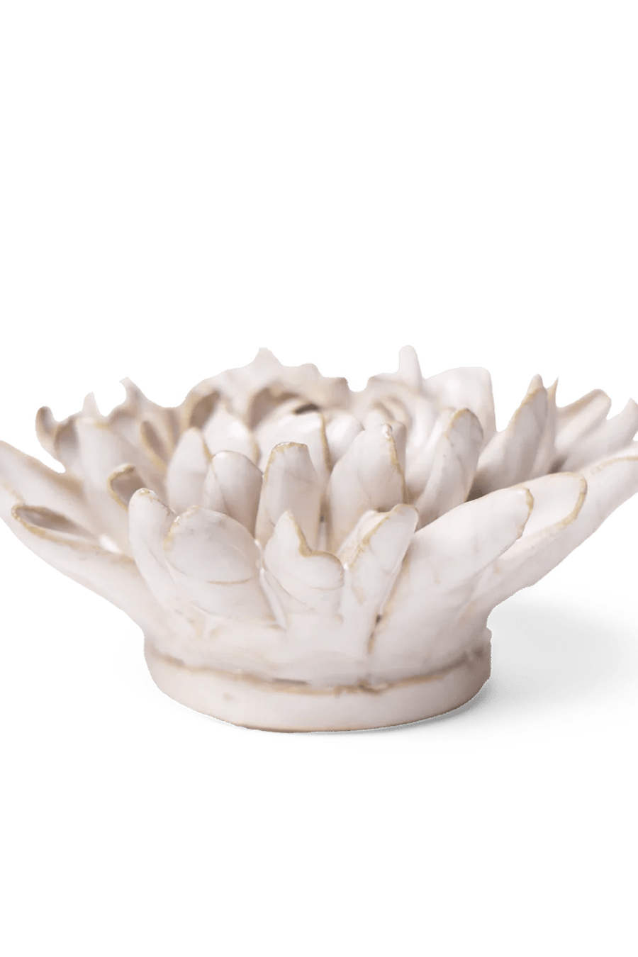 Coastal Ceramic Flower Ivory Chrysanthemum - Chive UK