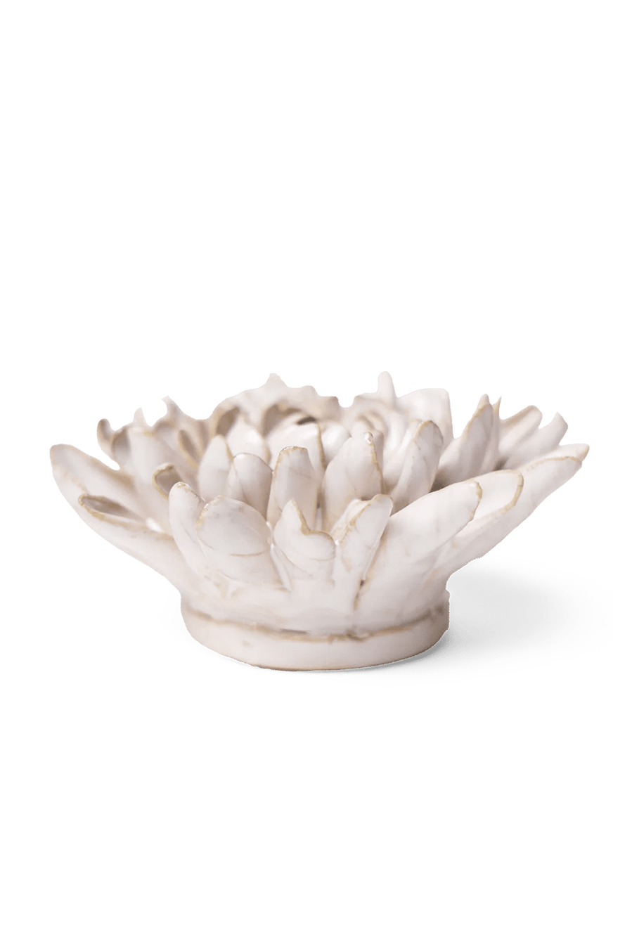 Ivory Chrysanthemum - Chive UK