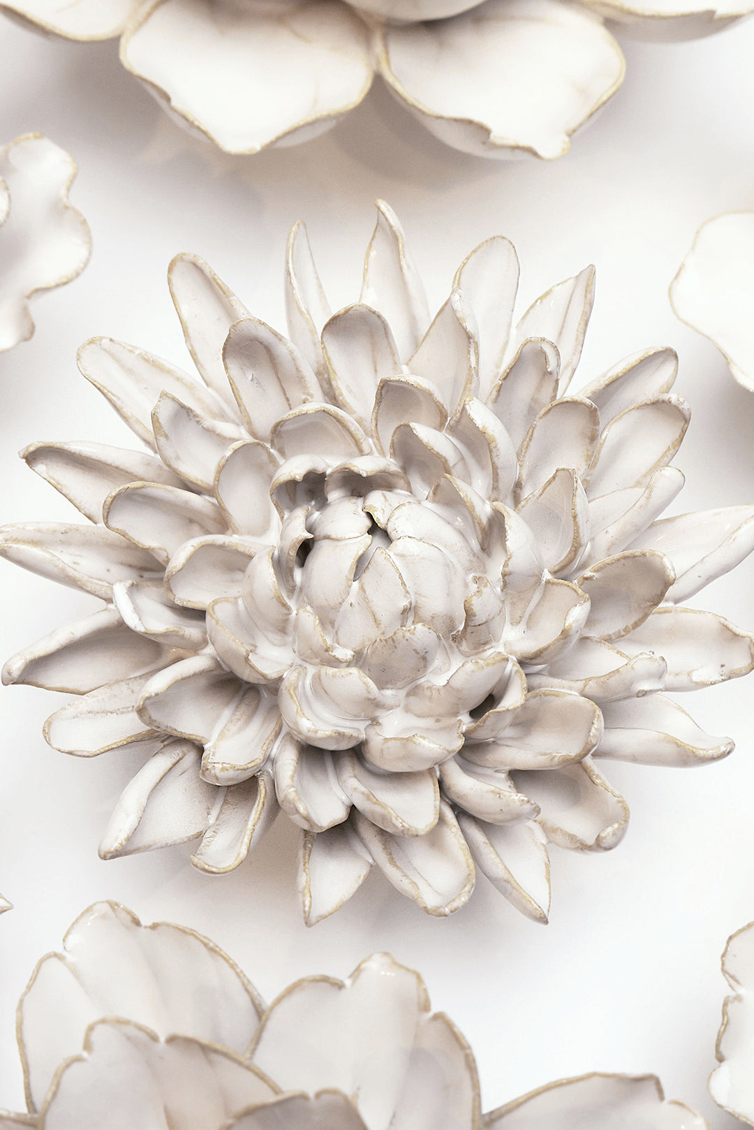 Ivory Chrysanthemum - Chive UK