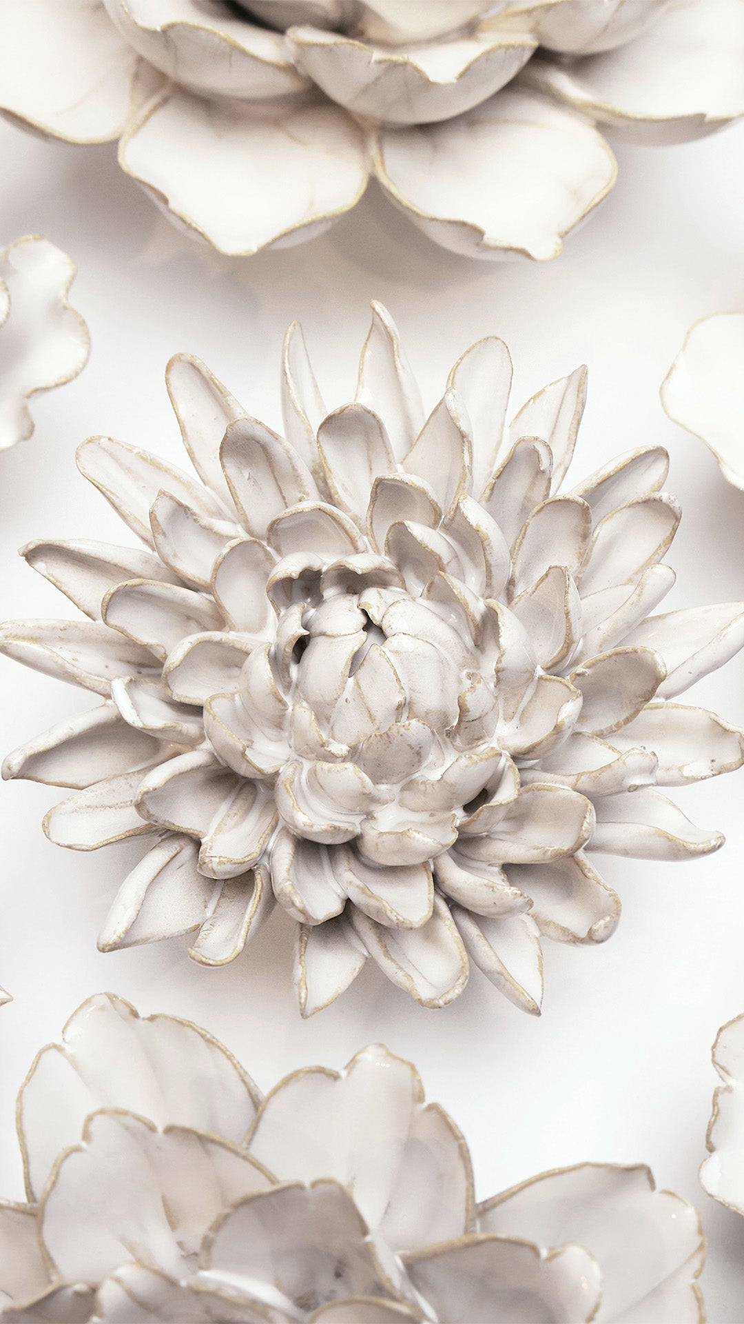 Ivory Chrysanthemum - Chive UK