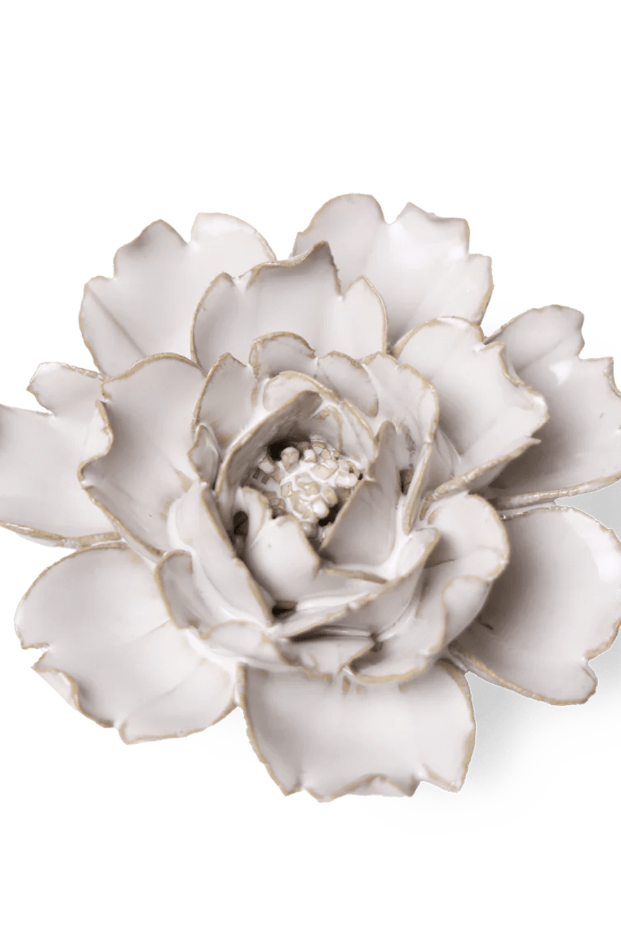 Coastal Ceramic Flower Ivory Rose - Chive UK
