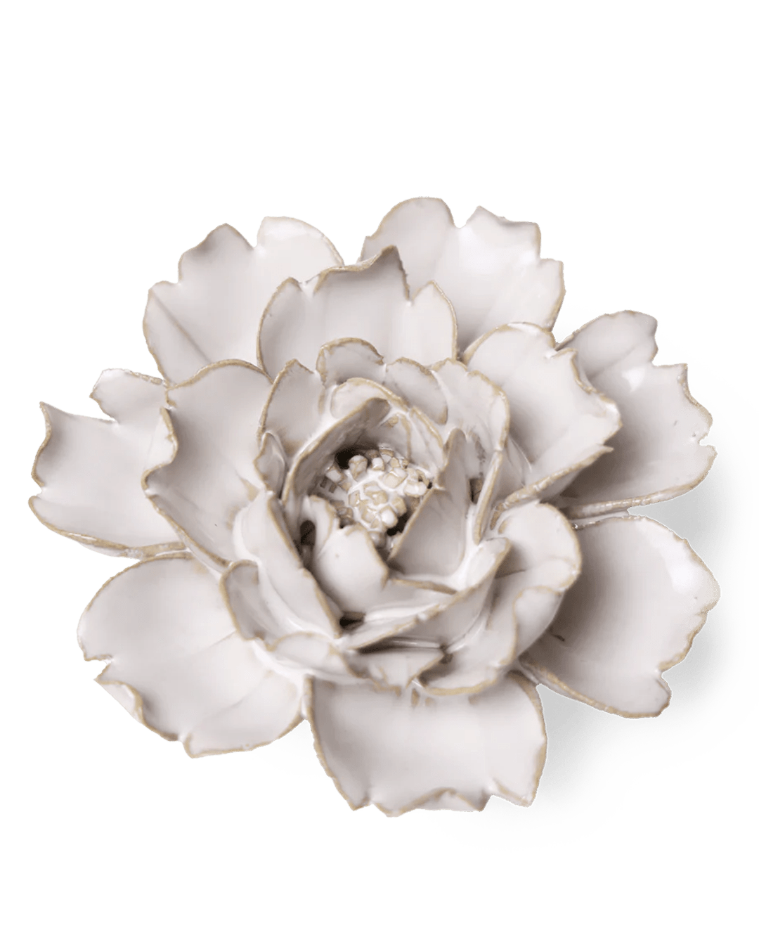 Coastal Ceramic Flower Ivory Rose - Chive UK