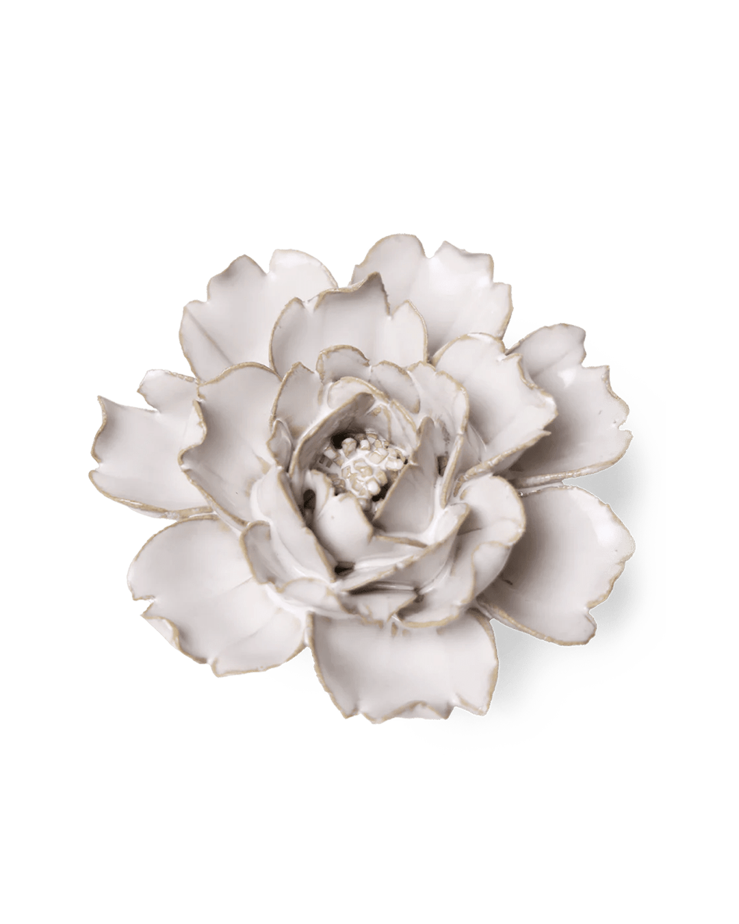 Ivory Rose - Chive UK