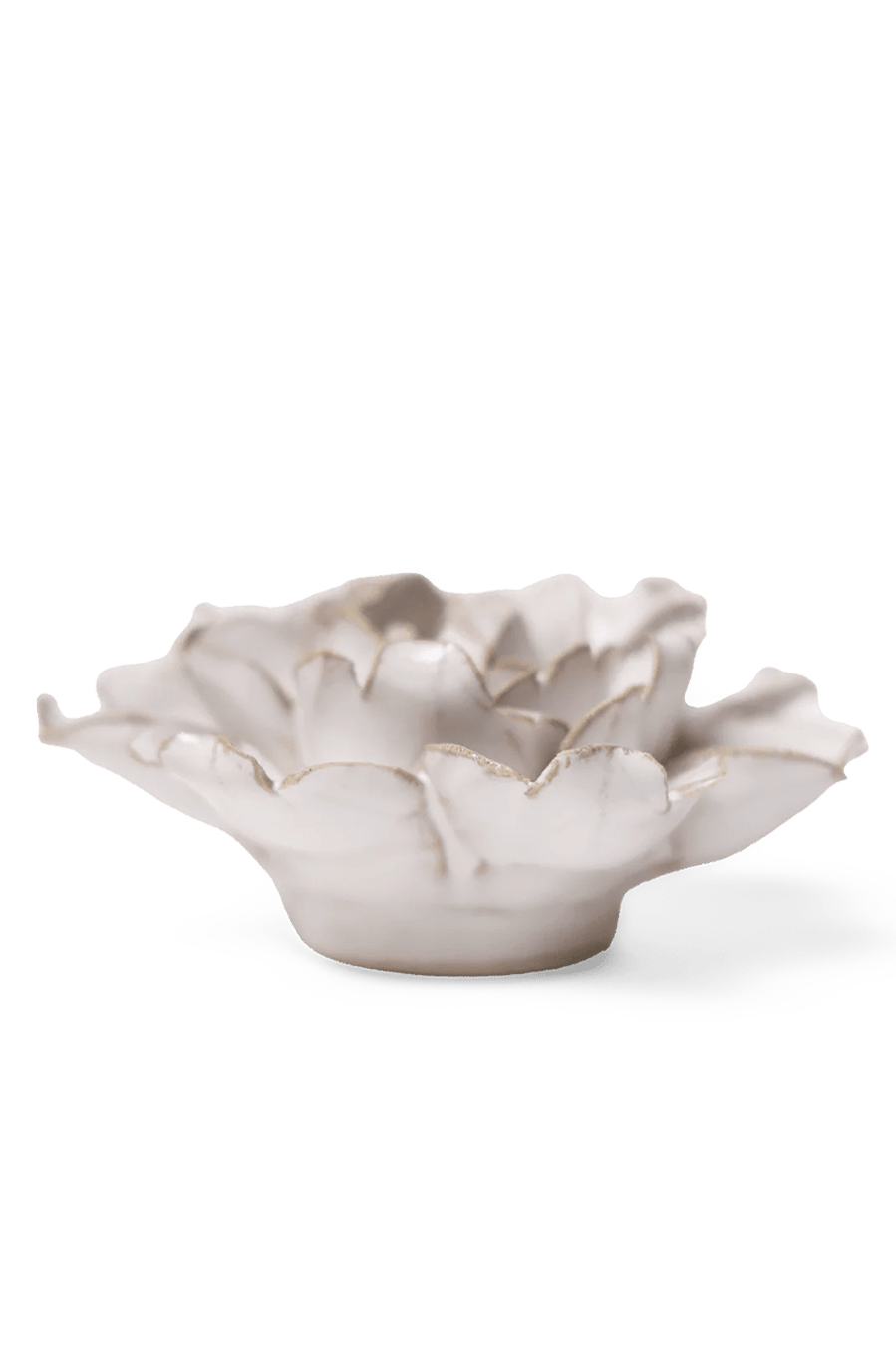Ivory Rose - Chive UK