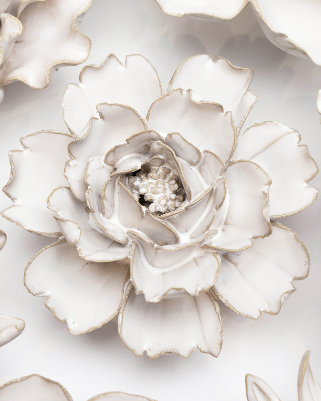 Ivory Rose - Chive UK