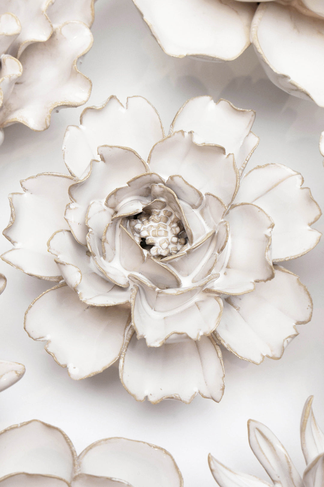 Ivory Rose - Chive UK
