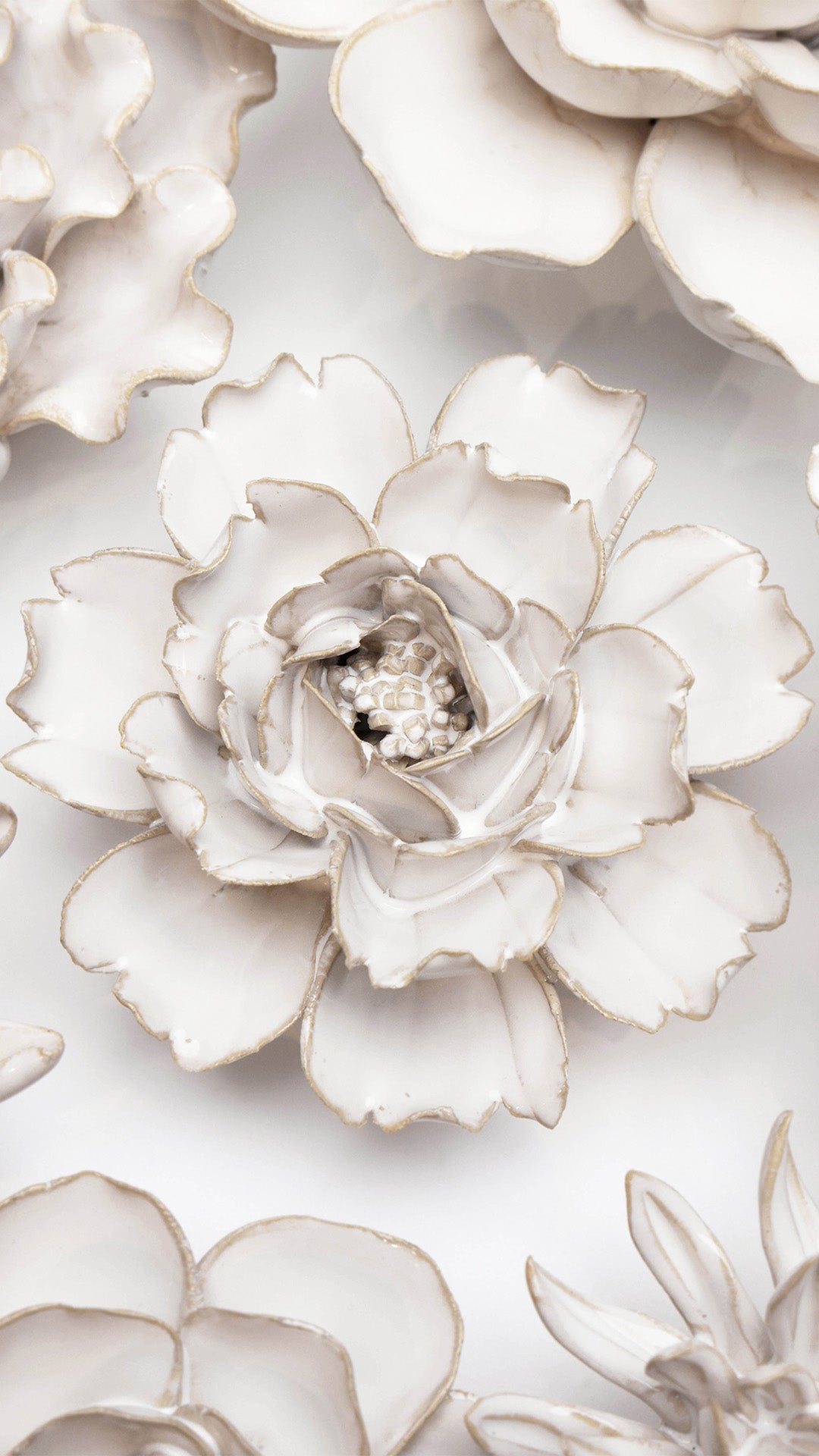 Ivory Rose - Chive UK