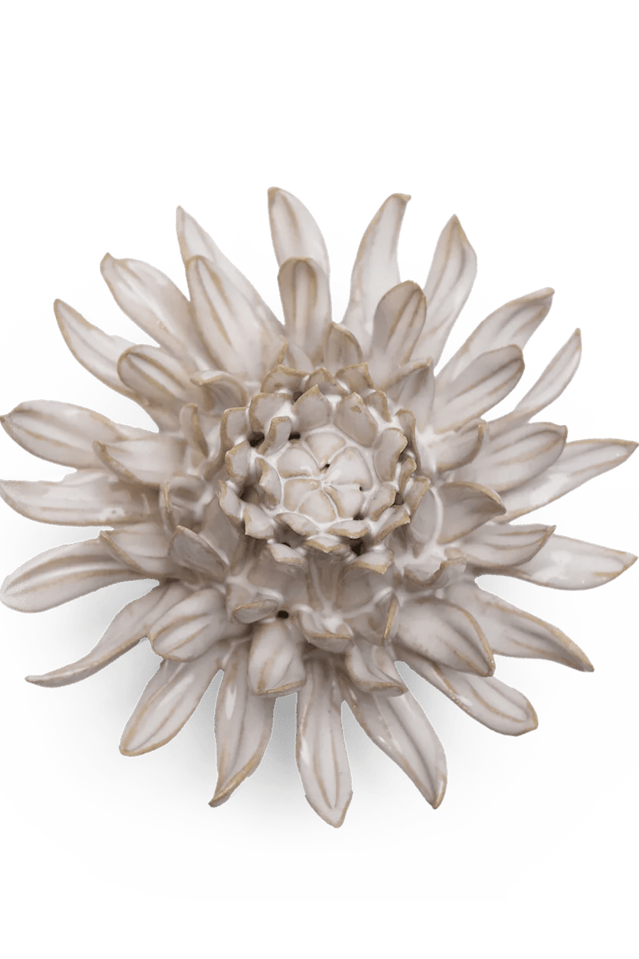 Coastal Ceramic Flower Ivory Spider Mum - Chive UK