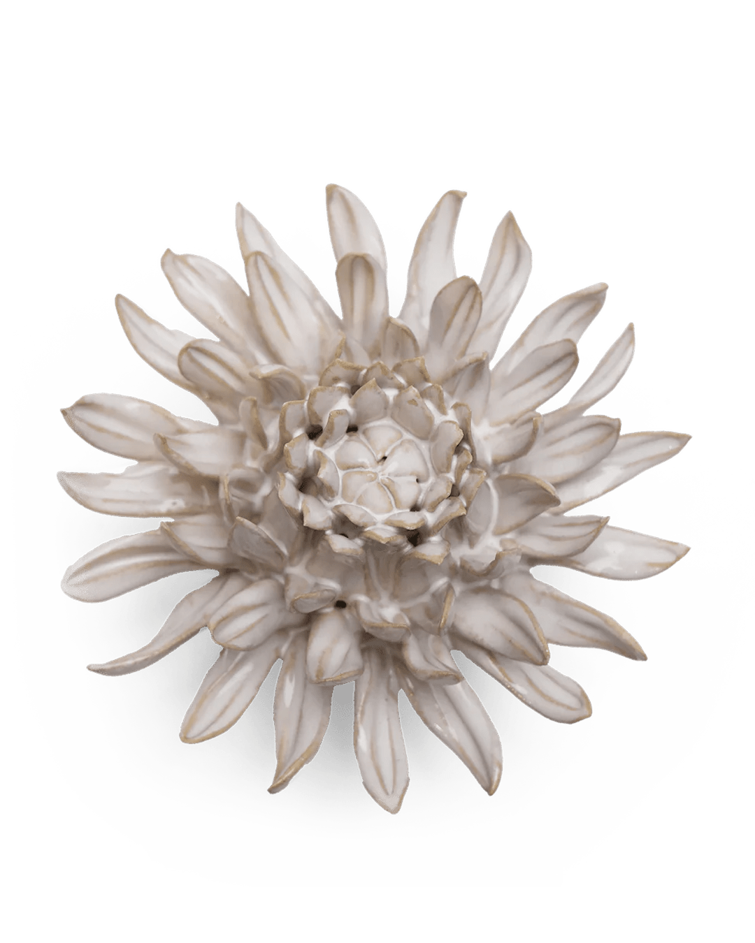 Coastal Ceramic Flower Ivory Spider Mum - Chive UK