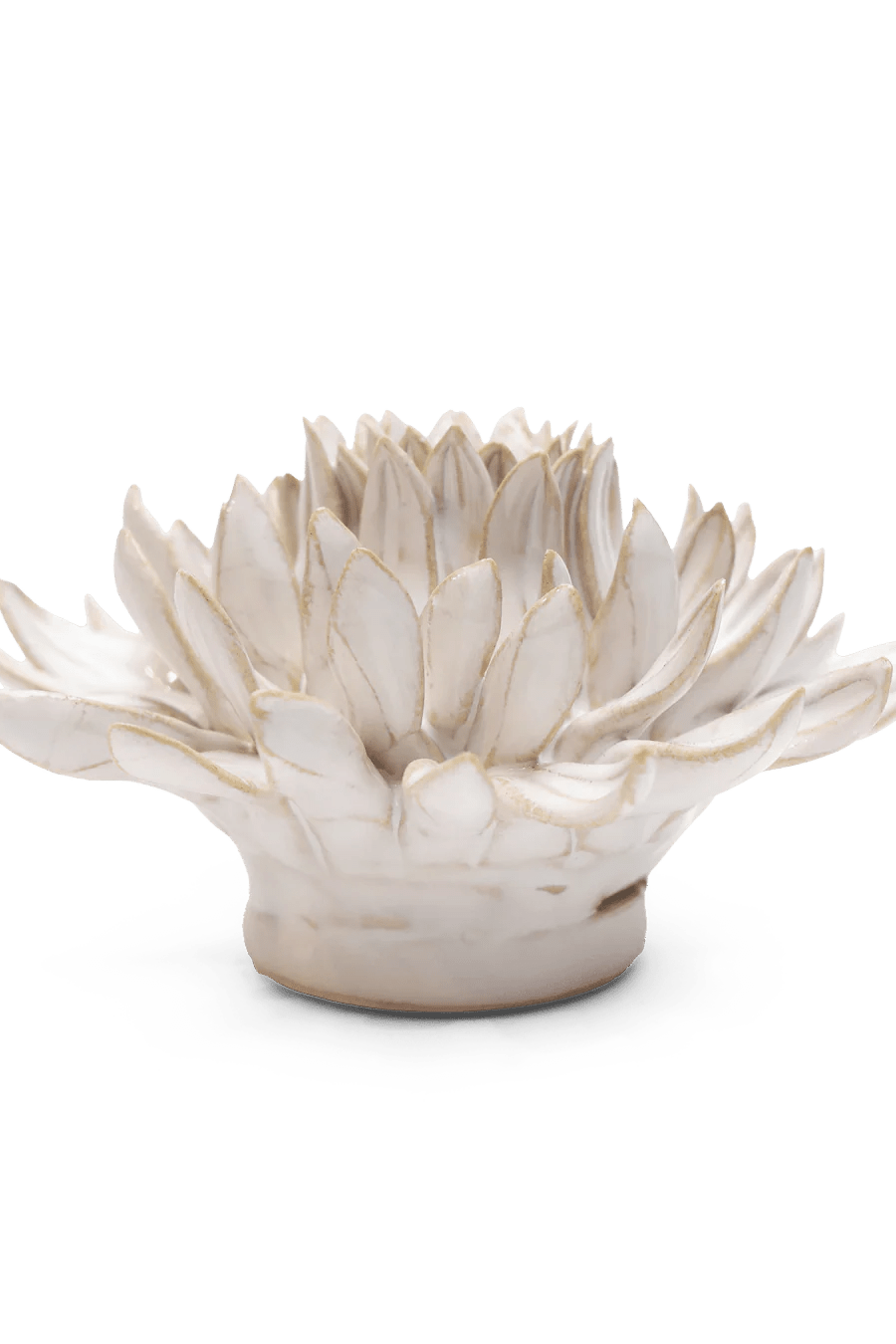 Coastal Ceramic Flower Ivory Spider Mum - Chive UK