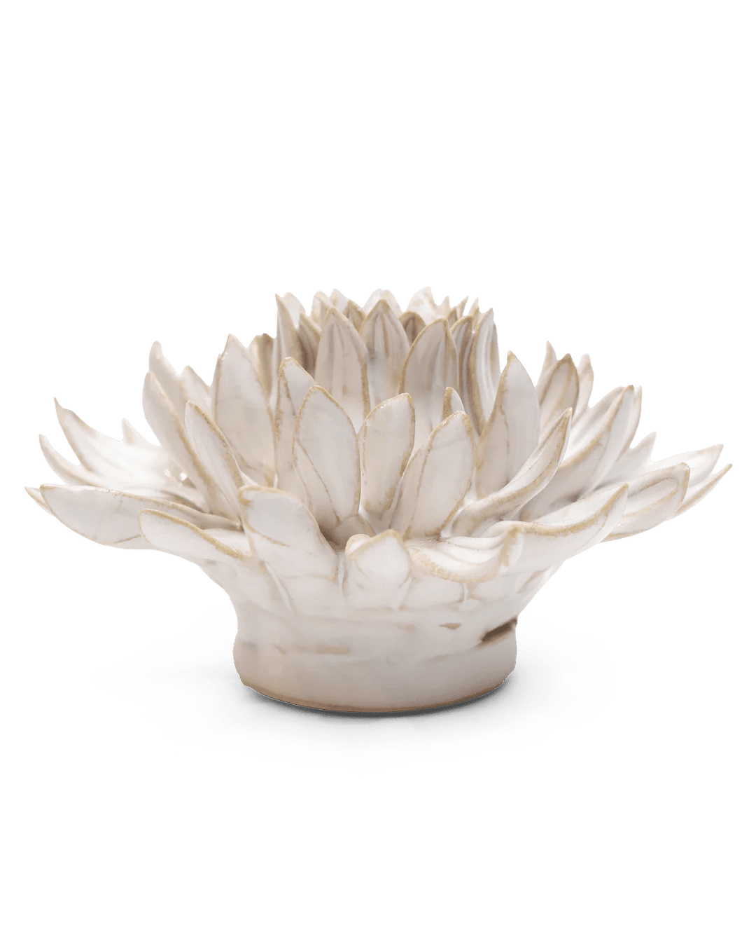 Coastal Ceramic Flower Ivory Spider Mum - Chive UK