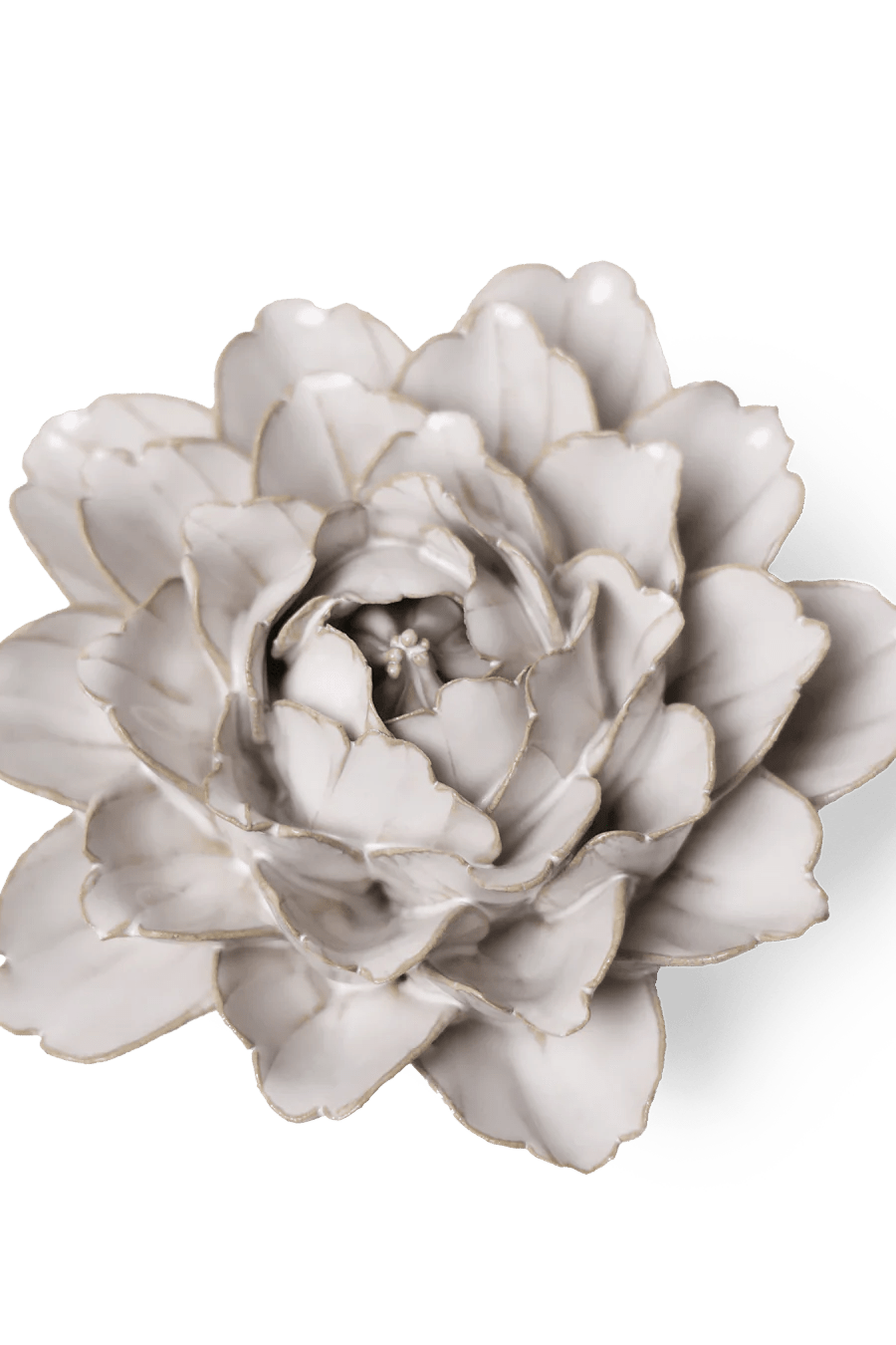 Coastal Ceramic Flower Ivory Zinnia - Chive UK