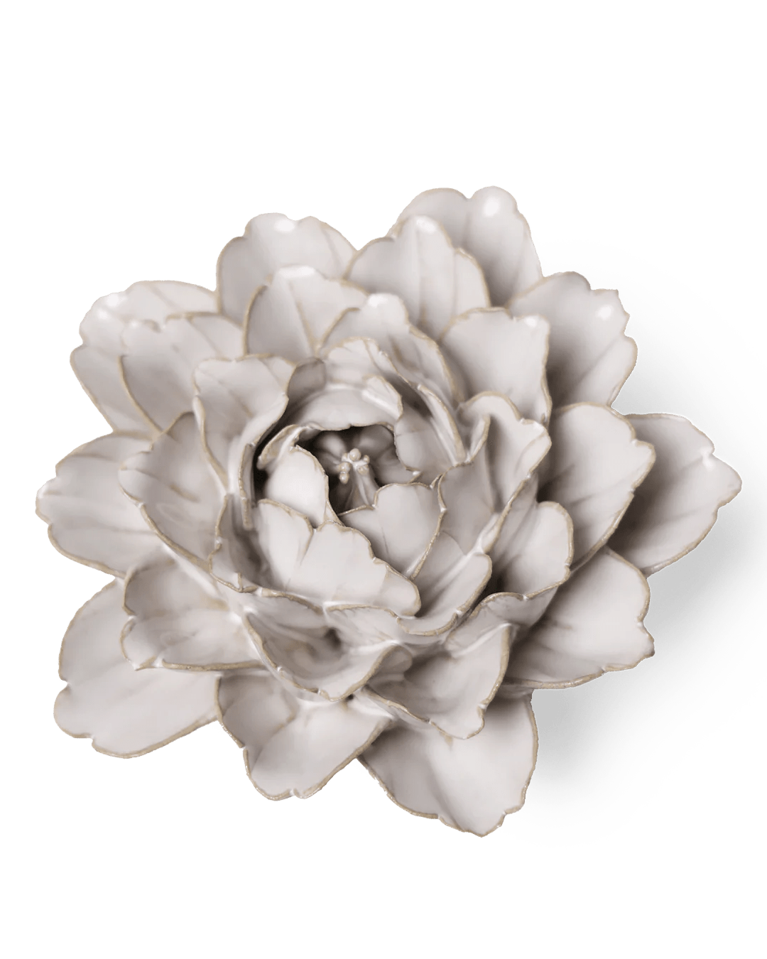 Coastal Ceramic Flower Ivory Zinnia - Chive UK