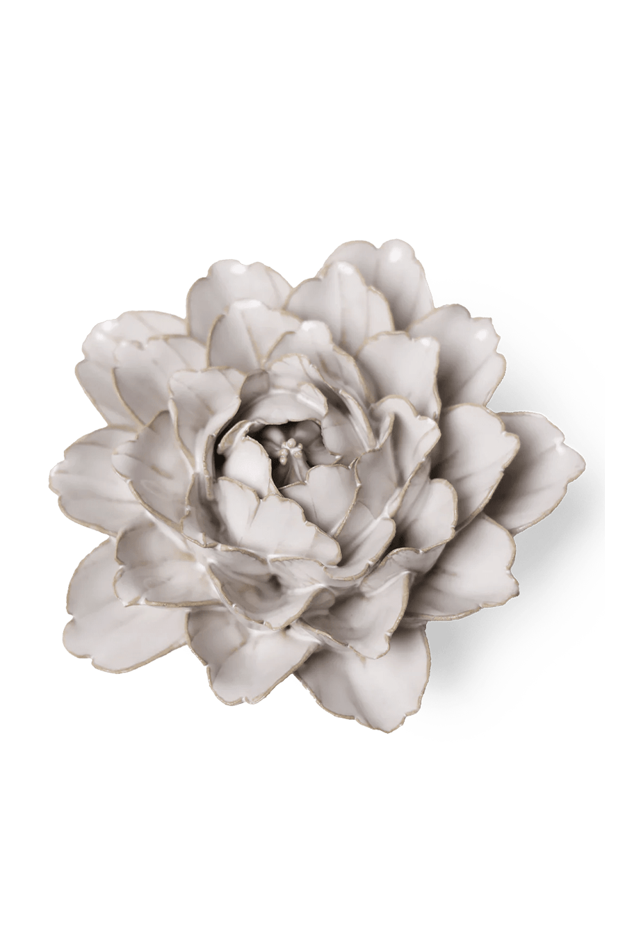 Ivory Comanche Peony - Chive UK