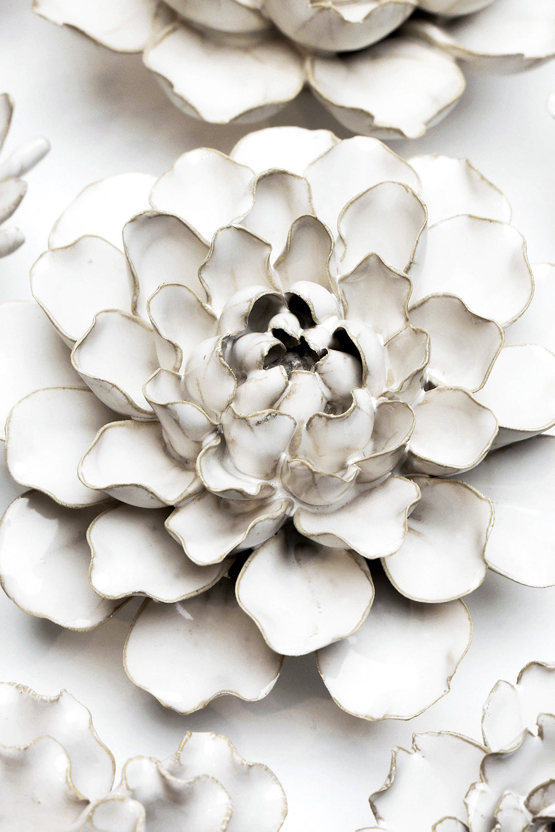 Ivory Sea Lettuce Medium - Chive UK