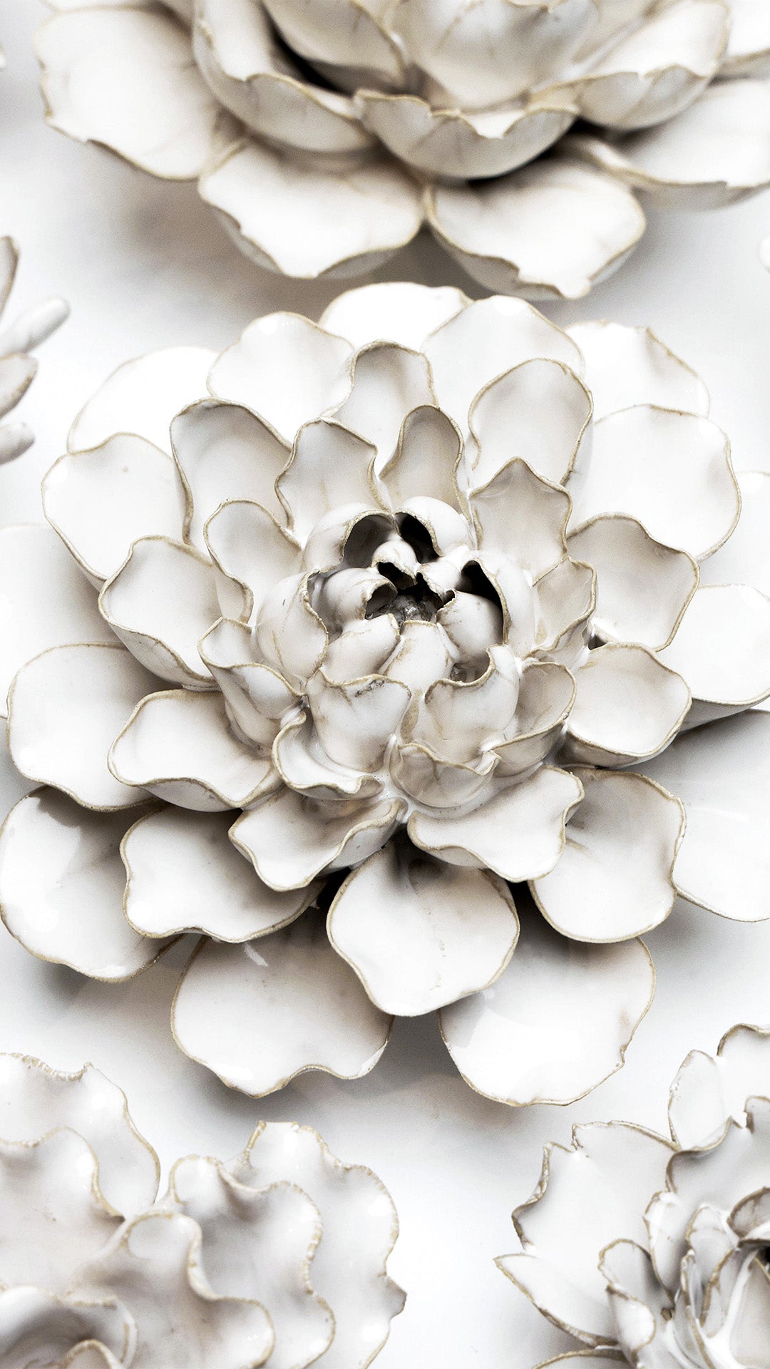 Ivory Sea Lettuce Medium - Chive UK