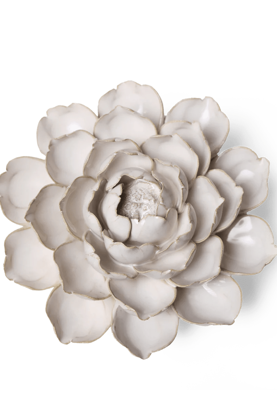 Coastal Ceramic Flower Ivory Cabbage Flower - Chive UK