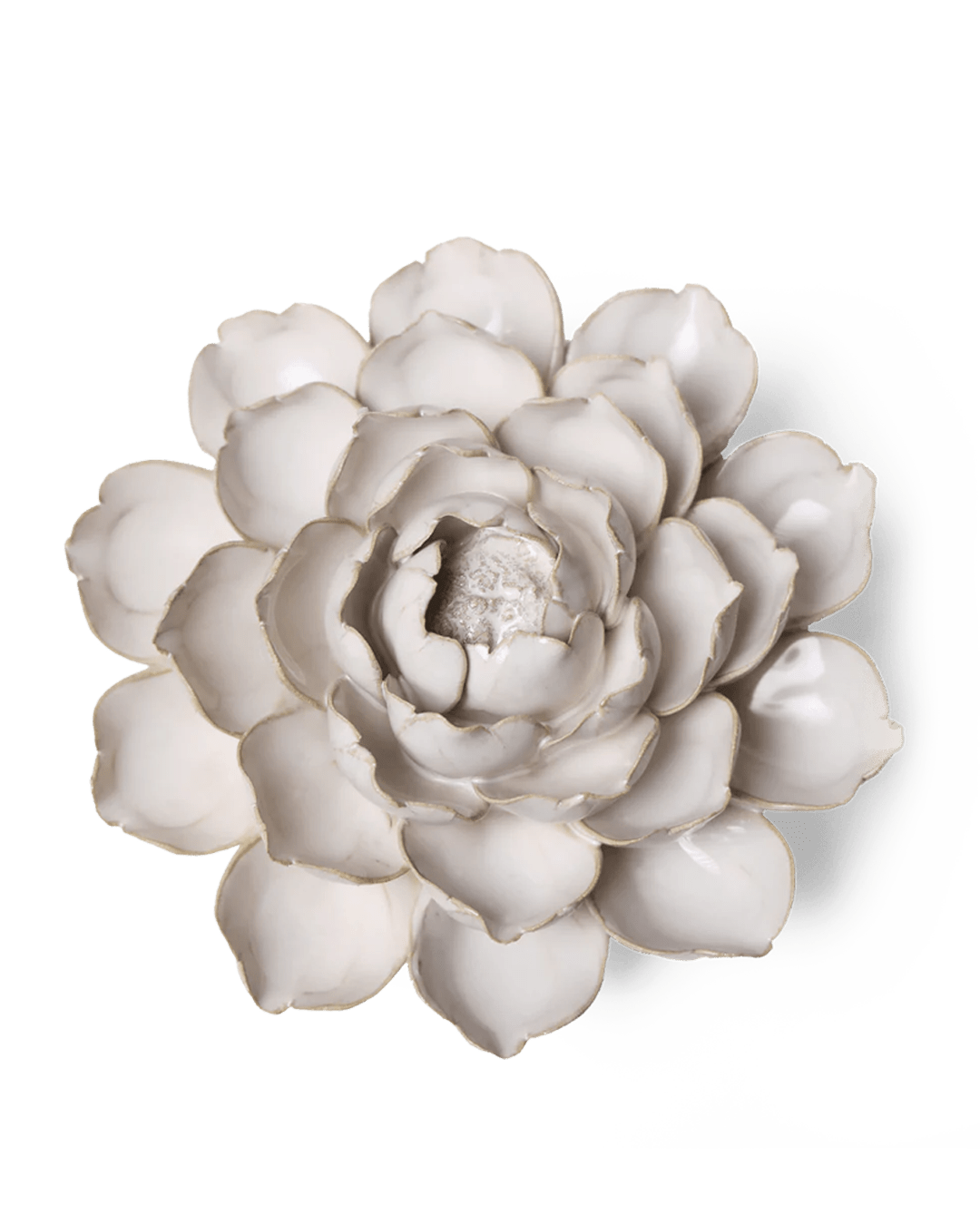 Coastal Ceramic Flower Ivory Cabbage Flower - Chive UK