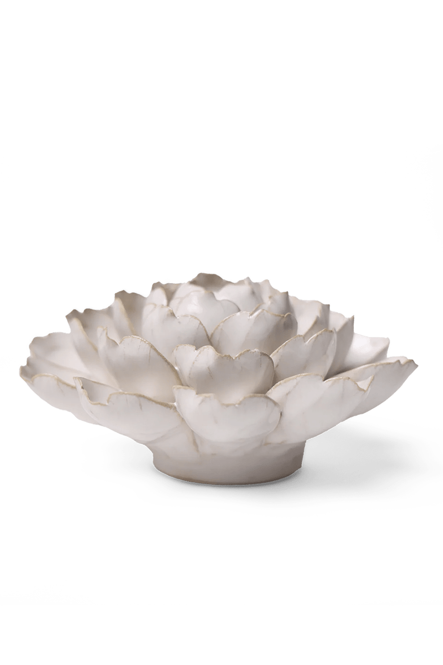 Ivory Empire Cabbage Flower - Chive UK
