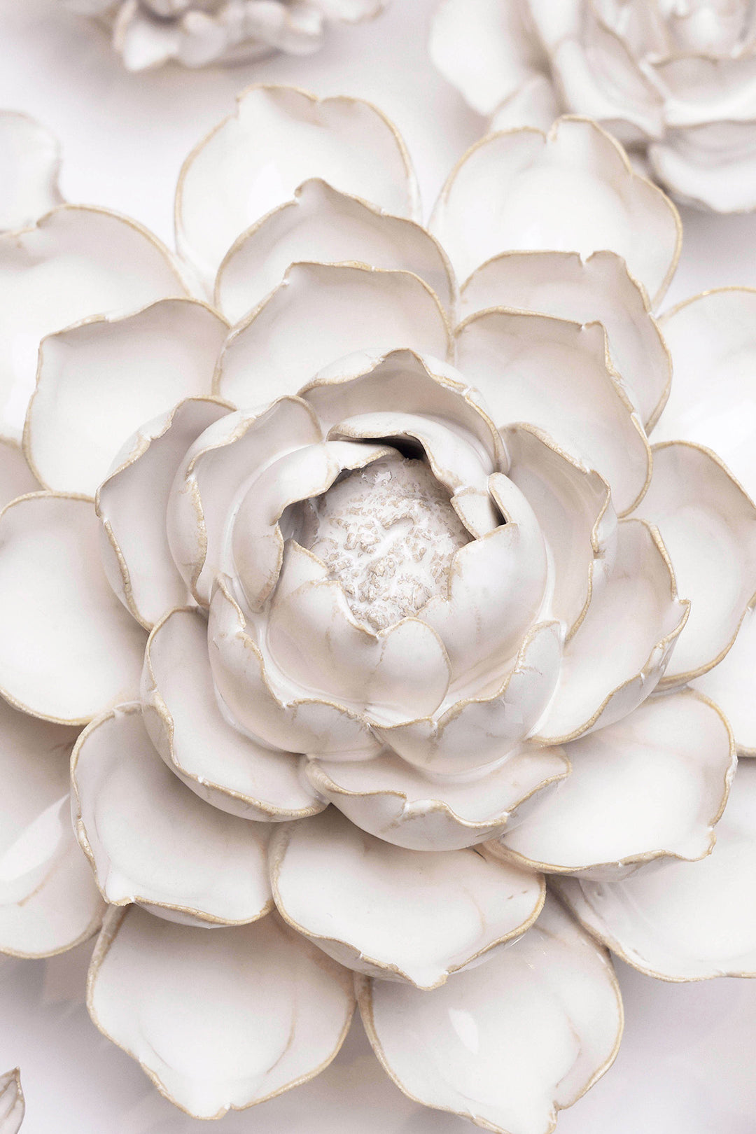 Ivory Cabbage Flower - Chive UK