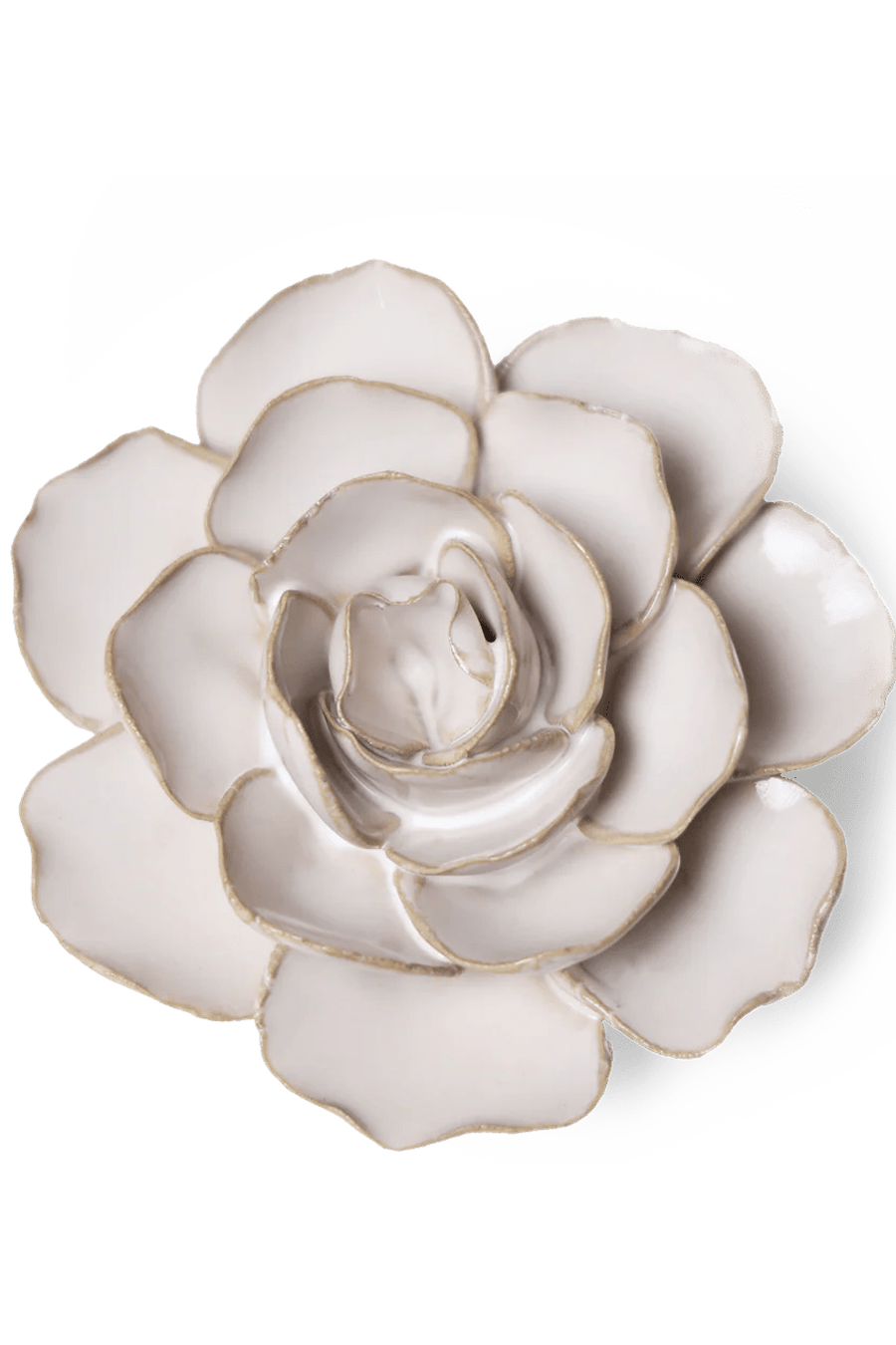 Coastal Ceramic Flower Ivory Ranunculus - Chive UK