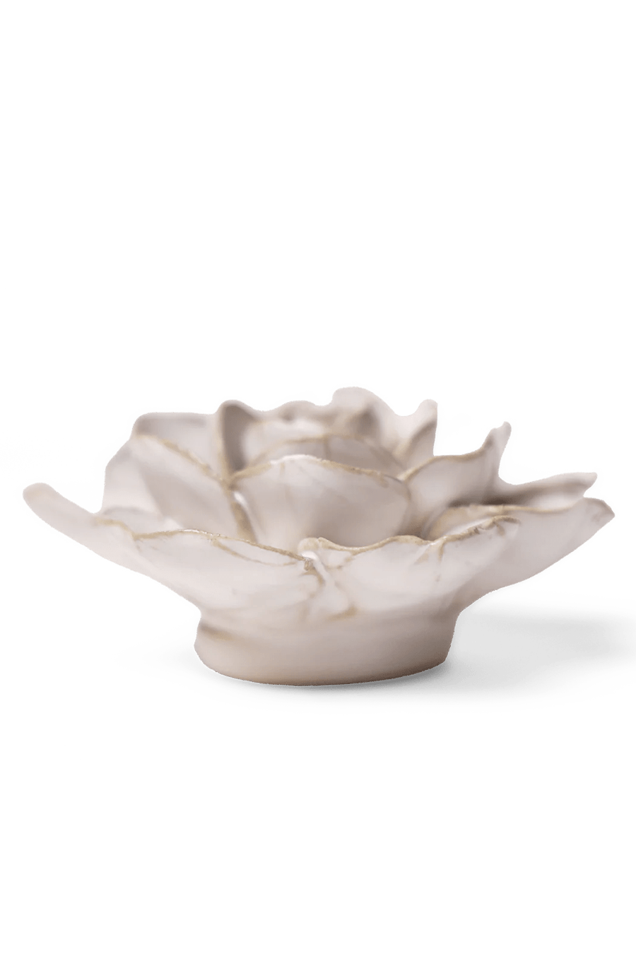 Ivory Amandine Ranunculus - Chive UK